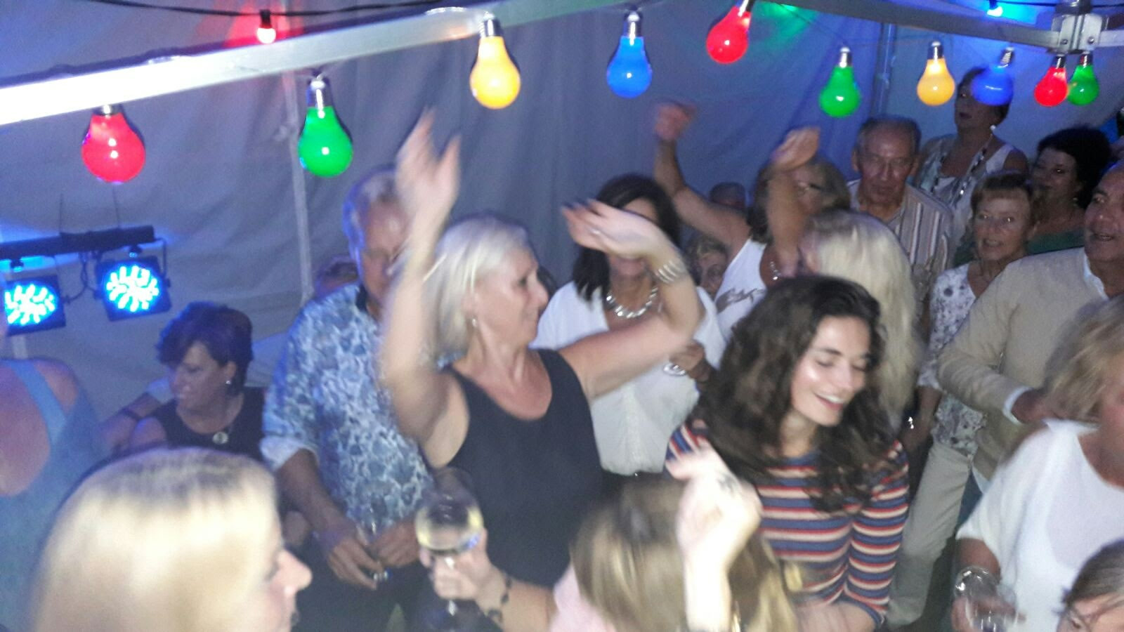 Feestend publiek tijdens een optreden van Gary Singer